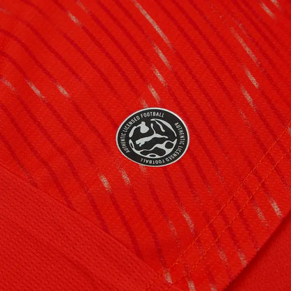 Switzerland 2026/27 Worldcup