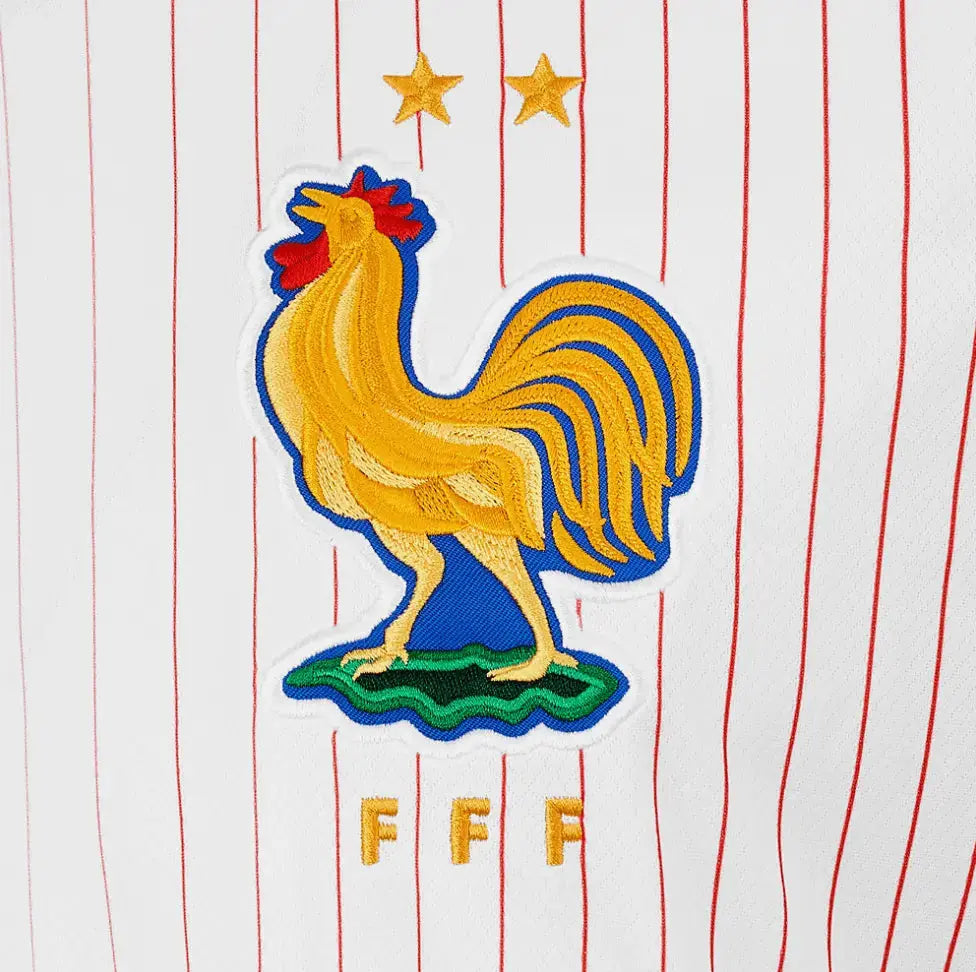 STUSSY X FRANCE JERSEY